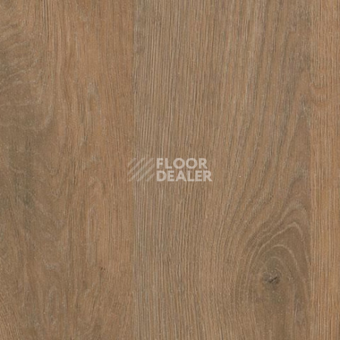 Линолеум Forbo SureStep Wood 18972 rustic oak фото 1 | FLOORDEALER